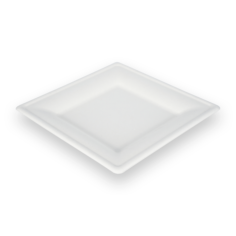 Bandeja biodegradable cuadrada de 10 pulgadas