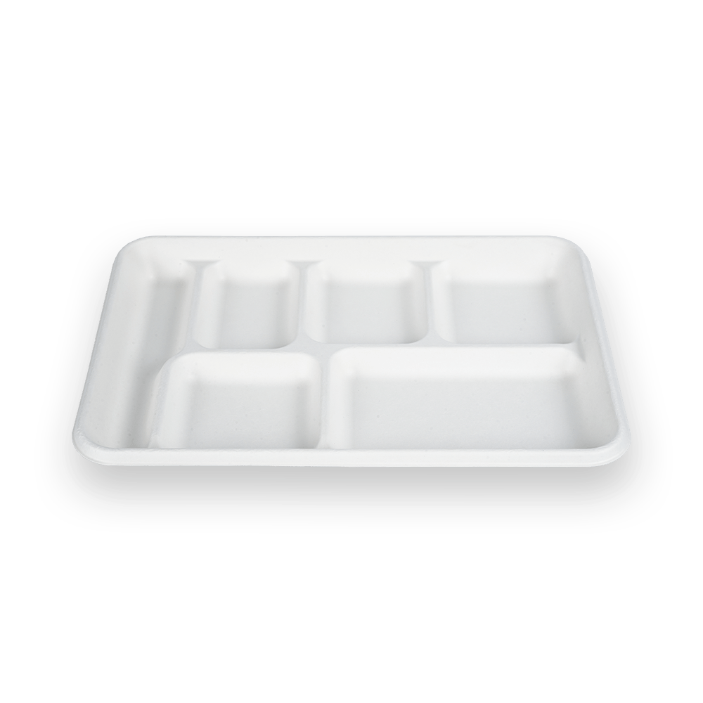 6 bandeja de compartimento