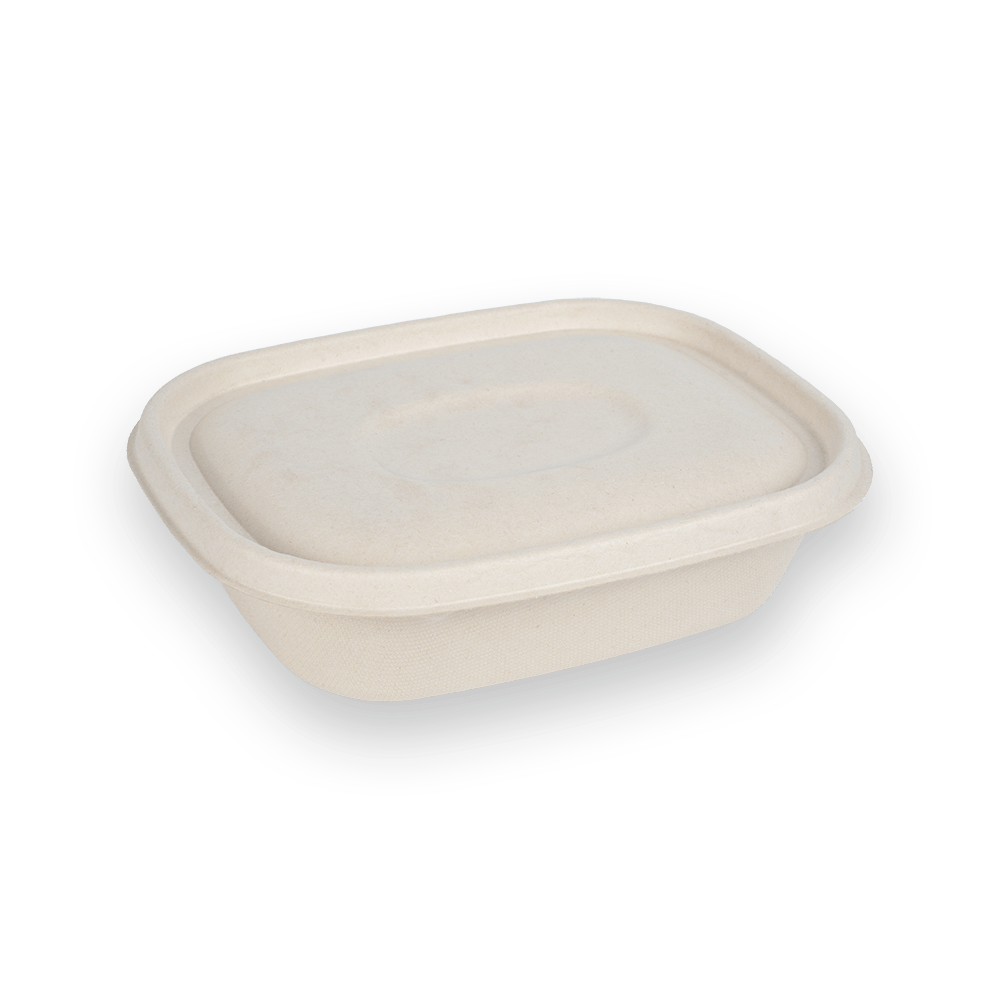 Caja para llevar CT1100 + tapa