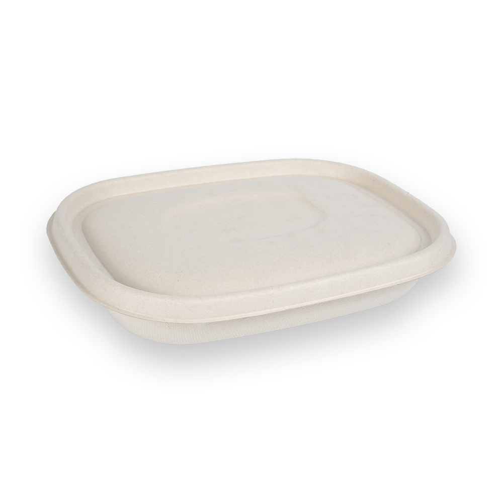 Caja para llevar CT850 + tapa