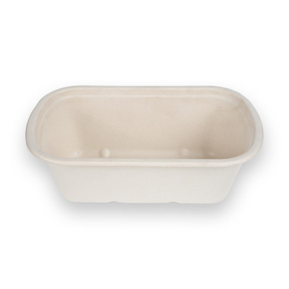 Contenedor de alimentos n1000