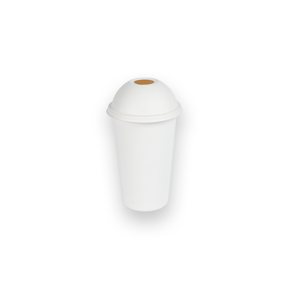 Copa de pulpa de bagazo de 16 oz