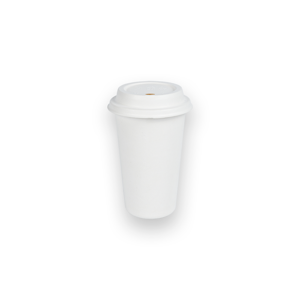 Copa pulpa de bagazo de 12 oz